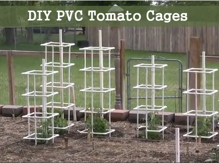Diy Tomato Cage Trellis If You’ve Ever Struggled With 640 x 480