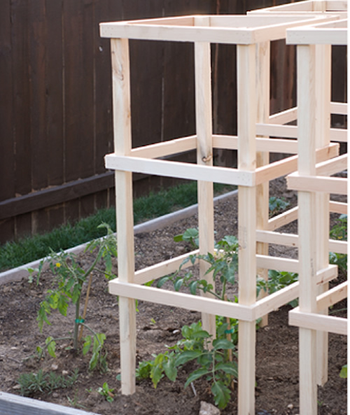 Diy Wooden Tomato Cages