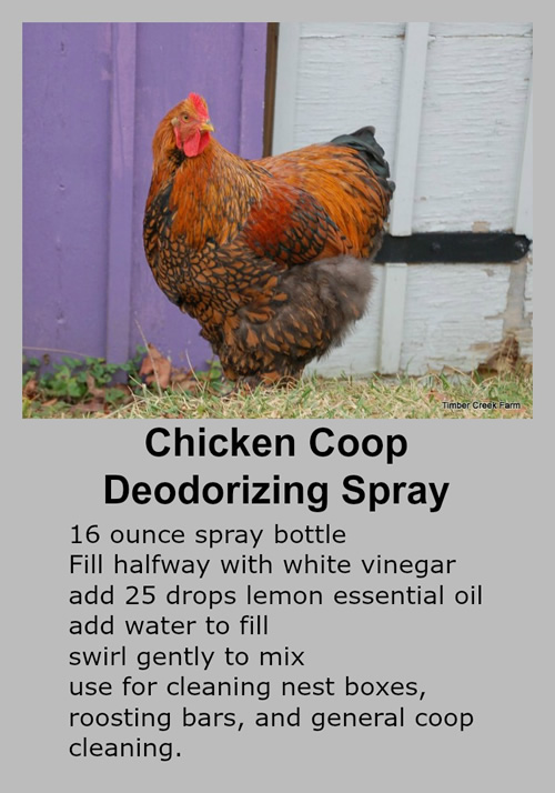 Homemade Chicken Coop Deodorizer Spray Recipe