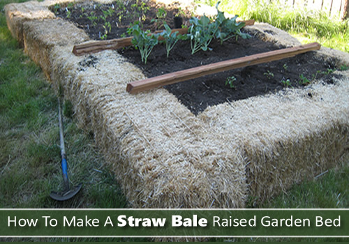 DIY Straw Bale Raised Garden Bed