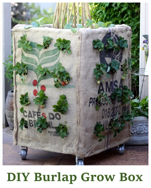 DIY Burlap Grow Box