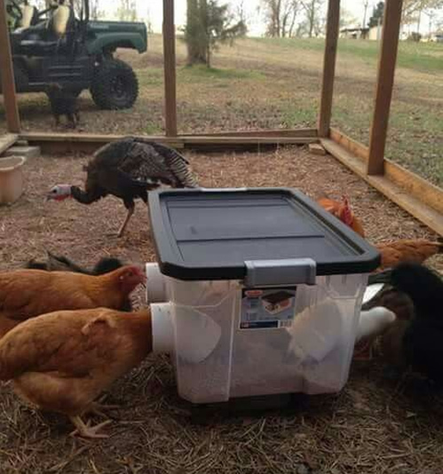 DIY No Waste Chicken Feeder Bin