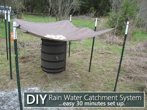 diy-rain-water-catchment-system