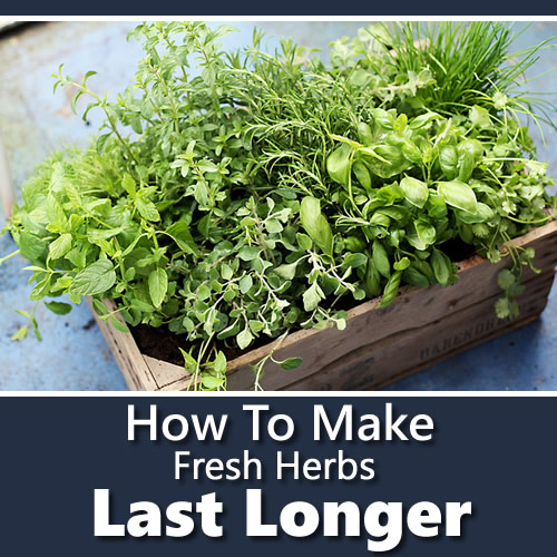 How To Make Fresh Herbs Last Longer
