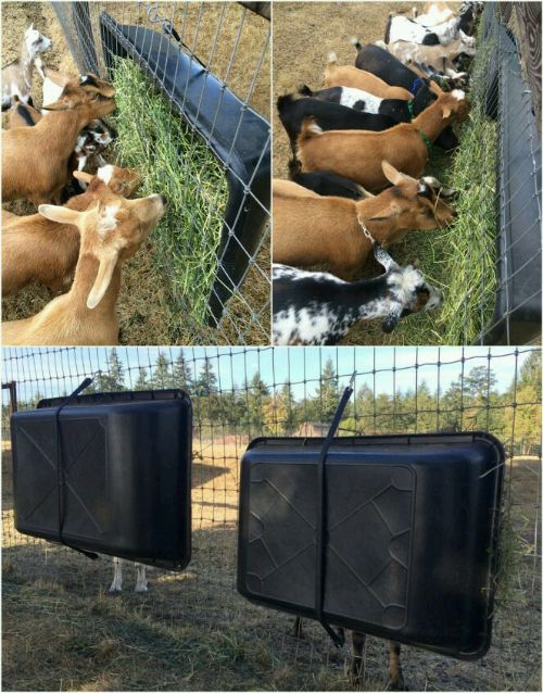 DIY Mixing Tub Hay Feeder