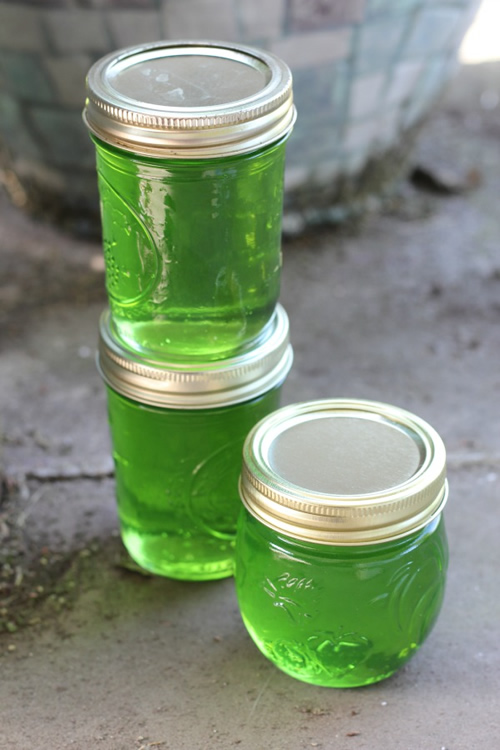 Canning Mint Jelly