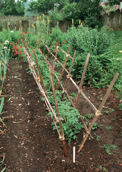DIY Angled Tomato Rails
