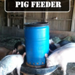 Diy Pig Feeder Plans