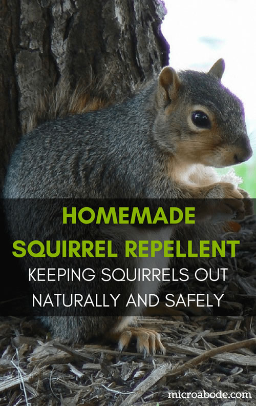 Hot Pepper Spray For Squirrels - cayenne pepper spray for squirrels