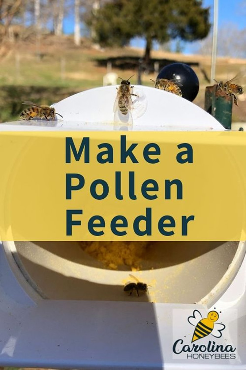 DIY Pollen Feeder For Bees