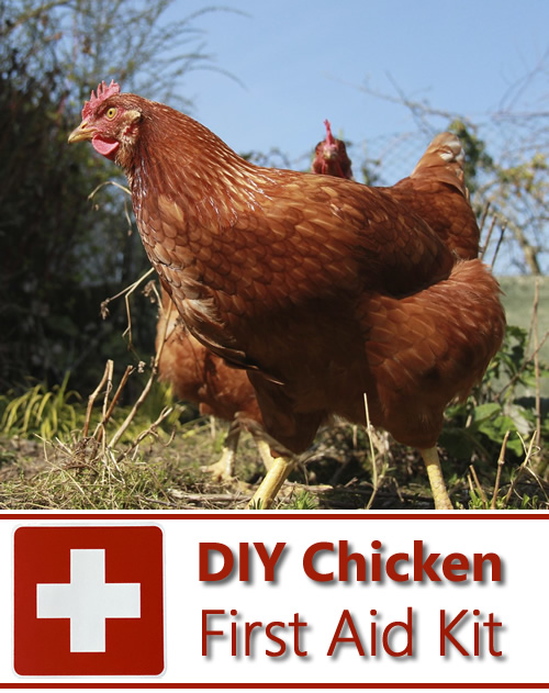 what-s-in-my-chicken-first-aid-kit-silver-fox-farm