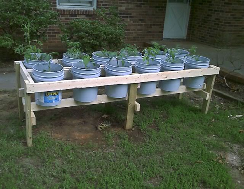 DIY Plastic Bucket Raised Garden Bed