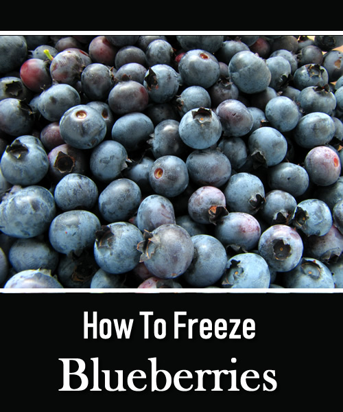 How To Freeze Blueberries