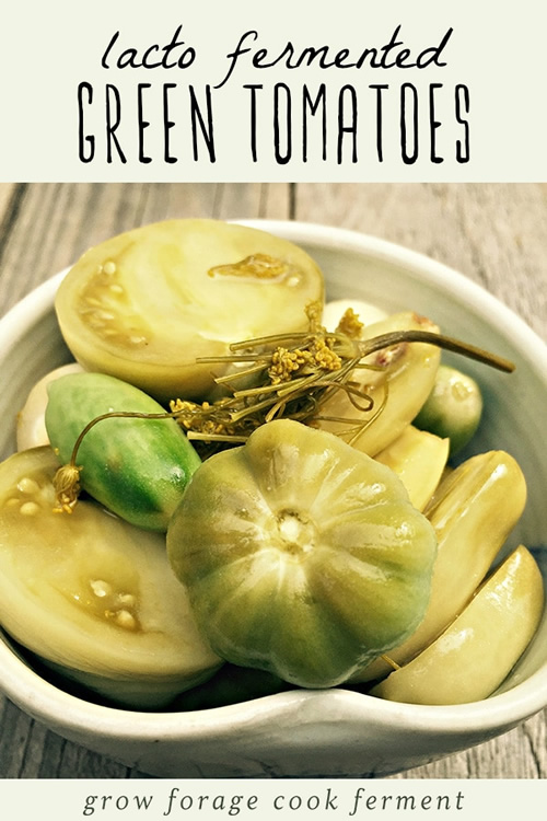 Fermented Green Tomatoes