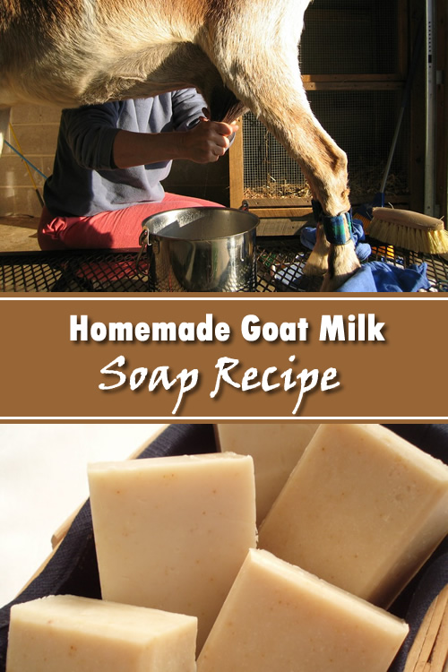 homemade-goat-milk-soap-recipe