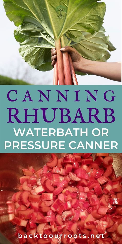 Canning Rhubarb Recipe